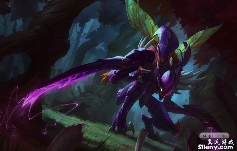 黑猫回归 黑猫回归