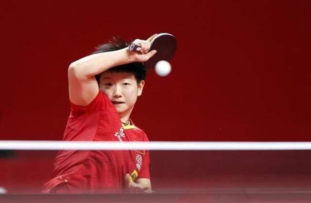 供了宝贵的 供了宝贵的